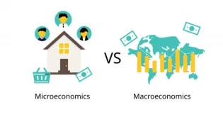 تفاوت اقتصاد خرد و کلان و تاثیراتی که بر بازار فارکس دارند